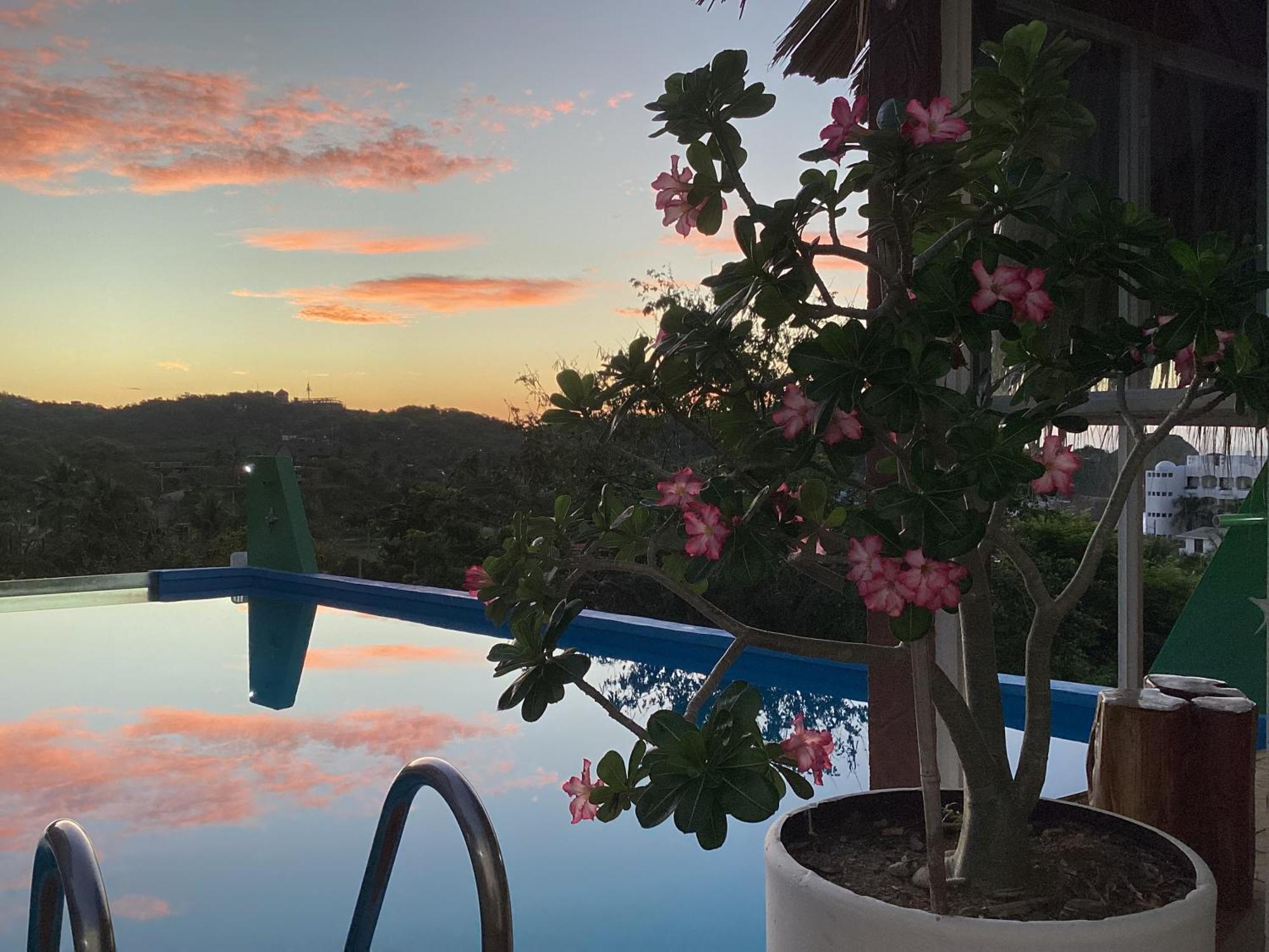 Namaste Zipolite Suites Dış mekan fotoğraf