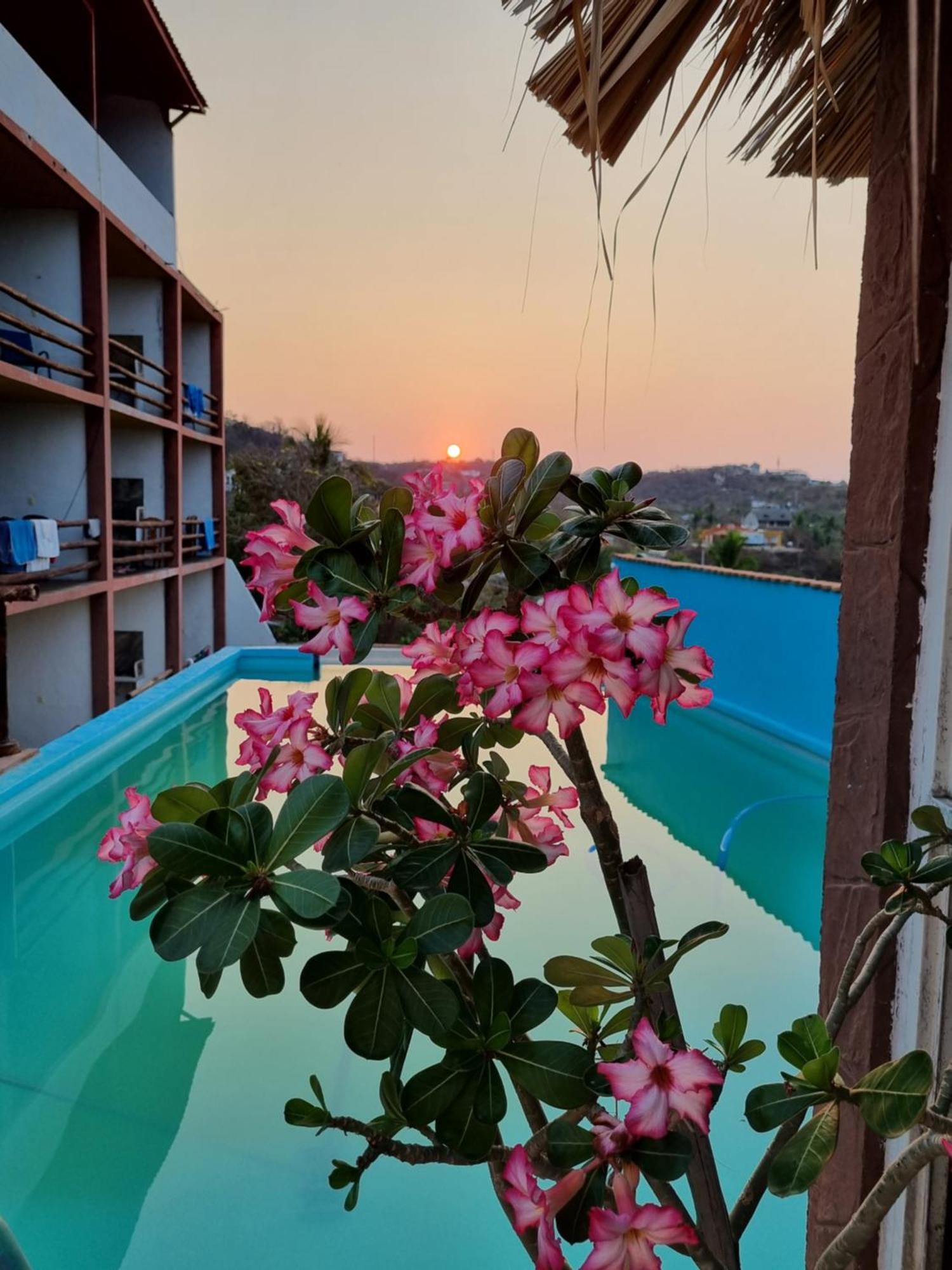 Namaste Zipolite Suites Dış mekan fotoğraf